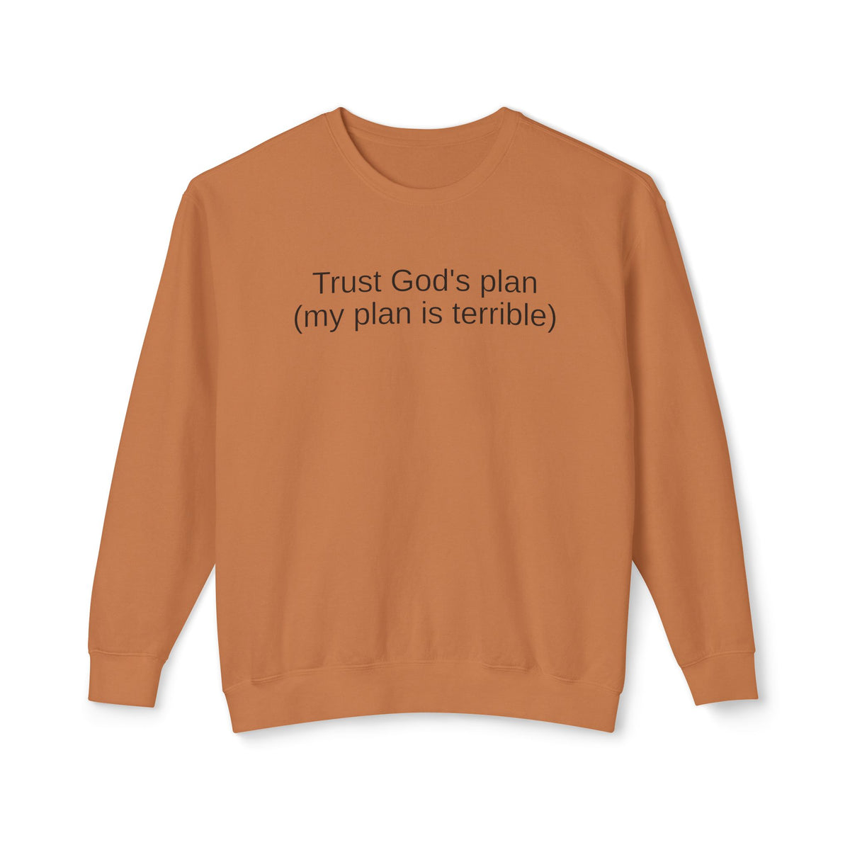 Trust God’s Plan Christian Sweatshirt | Faith-Based Inspirational Crewneck
